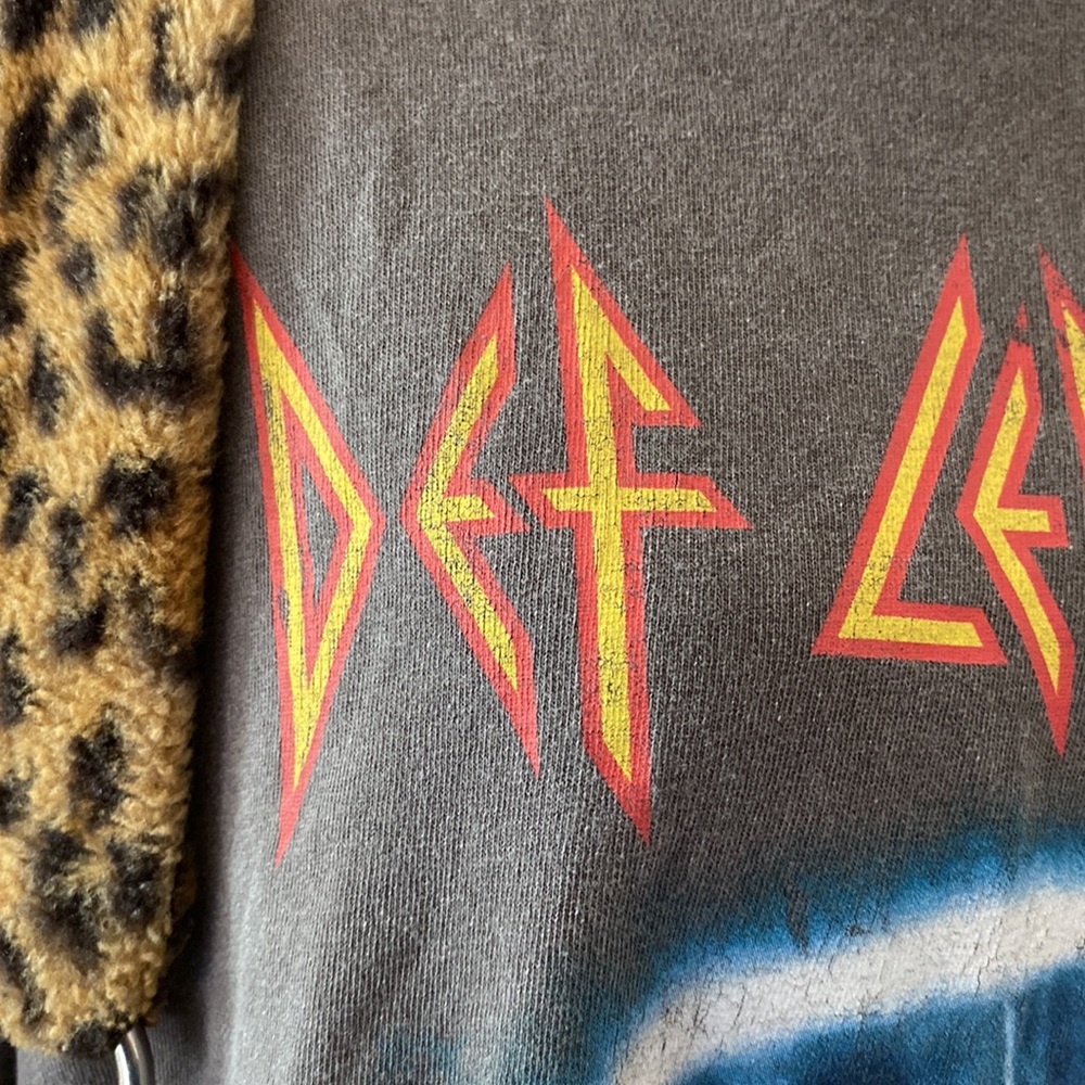 Def Leppard - Picture 9 of 11